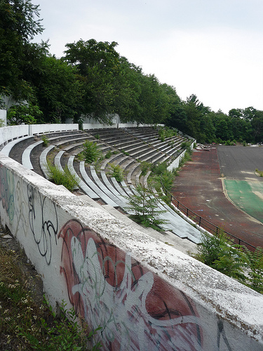 A picture of the vegetation and decay that has developed at Hinchcliffe Stadium.